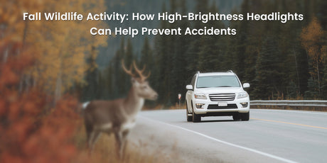 How High-Brightness Headlights Can Help Prevent Accidents