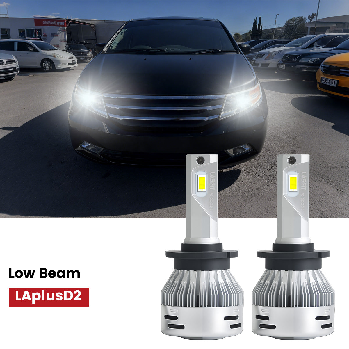 Lasfit D2S led low beam bulbs fit for 2011-2013 Honda Odyssey