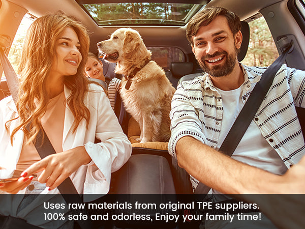Nissan Rogue family protection
