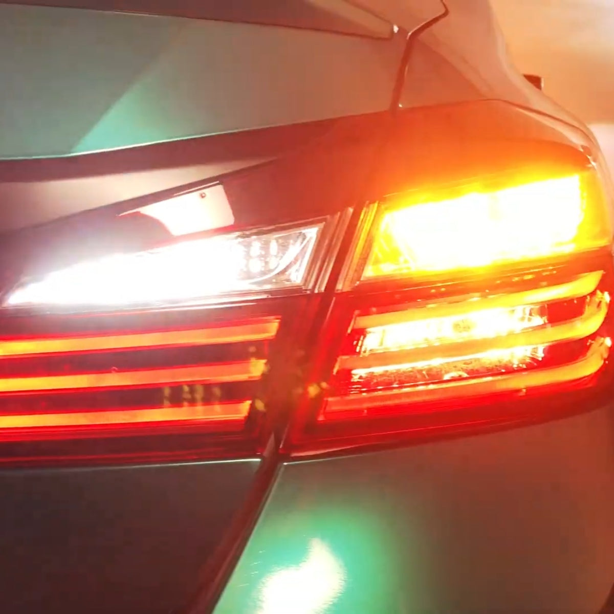 Lasfit bright white 921 led reverse lights for 2016 2017 Honda Accord