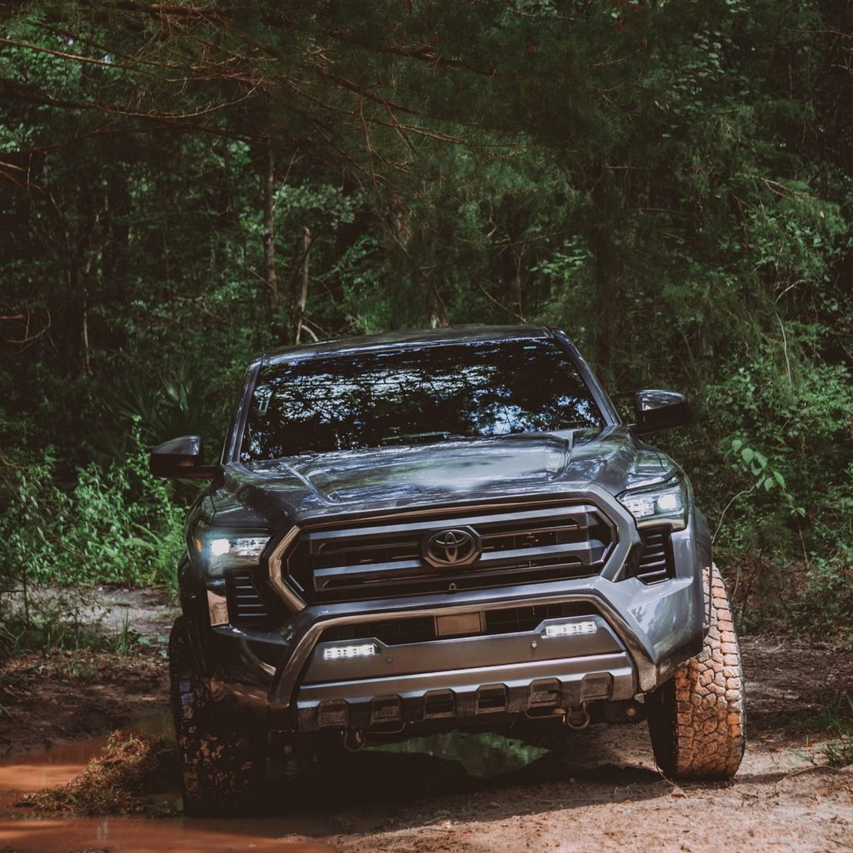 Lasfit 7443 led turn signal bulbs for 2024 Toyota Tacoma