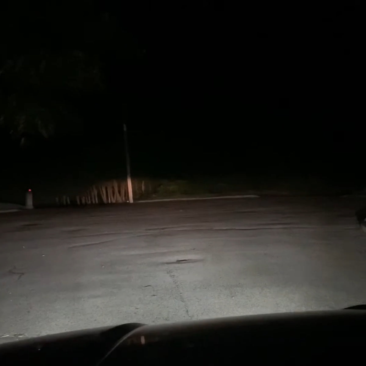 Lasfit LED fog lights ultra brightness