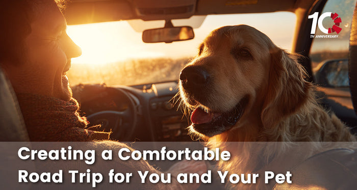 Creating a Comfortable Road Trip for You and Your Pet