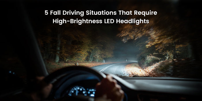5 Fall Driving Situations