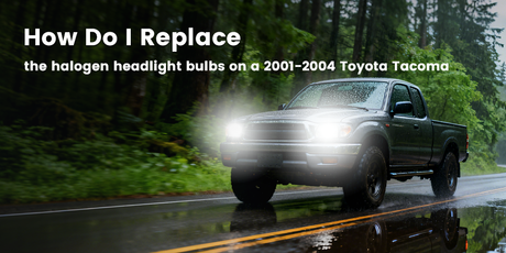 How do I replace the halogen headlight bulbs on a 2001-2004 Toyota Tacoma？