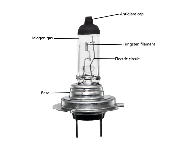 H7 bulb
