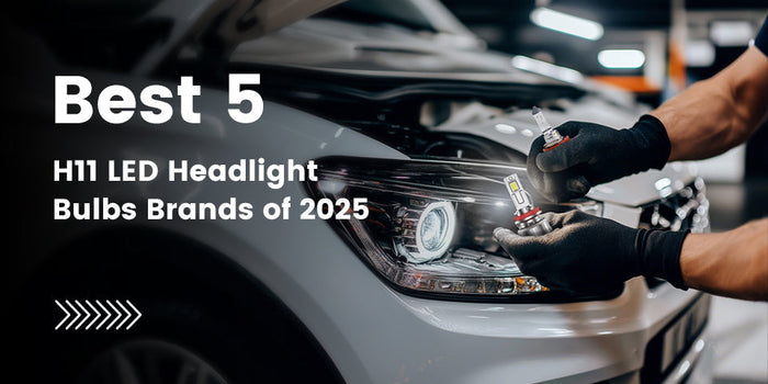 best h11 led bulbs