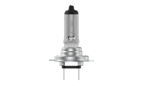 H7 LED Bulbs