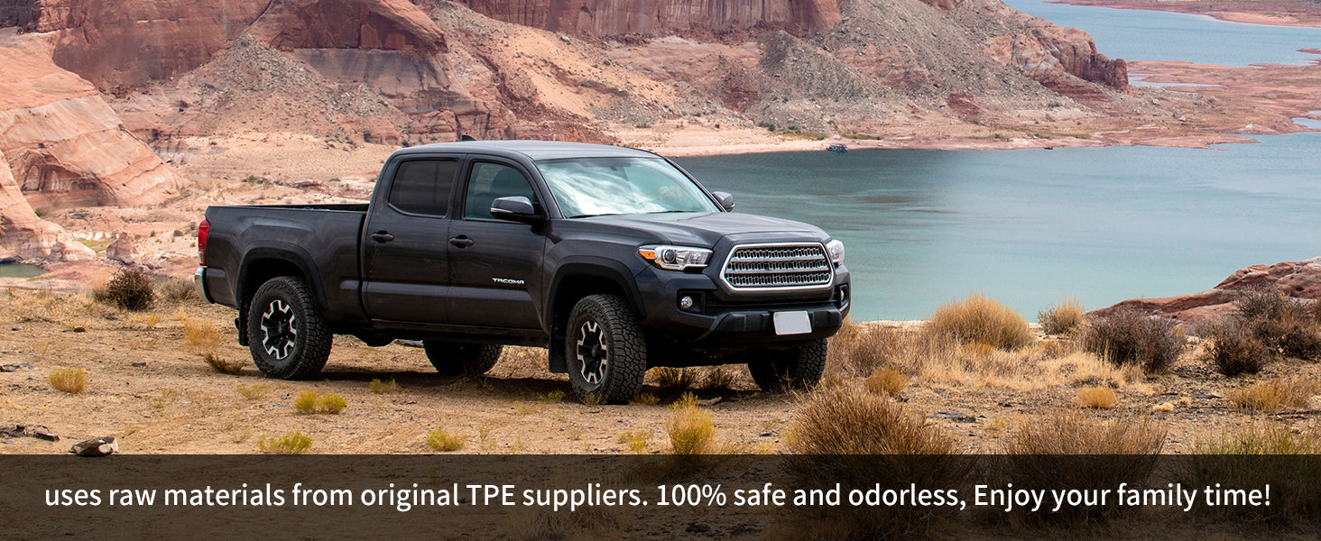 Toyota Tundra driving floor mats