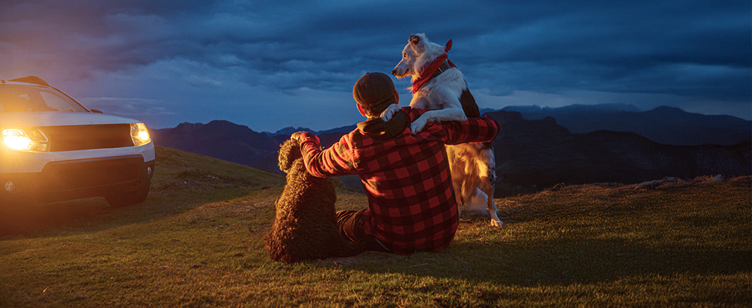 Scion xB driving floor mats