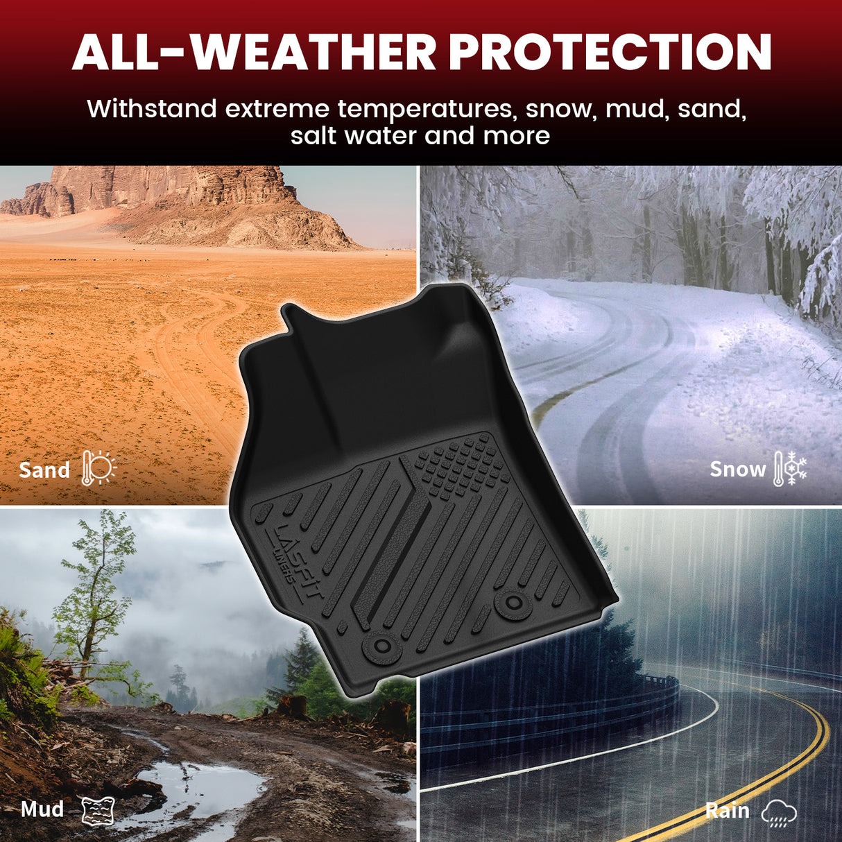 2010-2011 Toyota Pirus Floor Mats