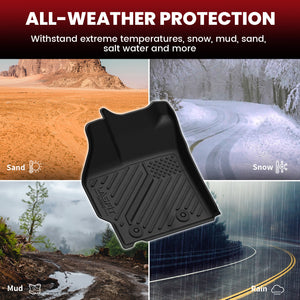 2010-2011 Toyota Pirus Floor Mats