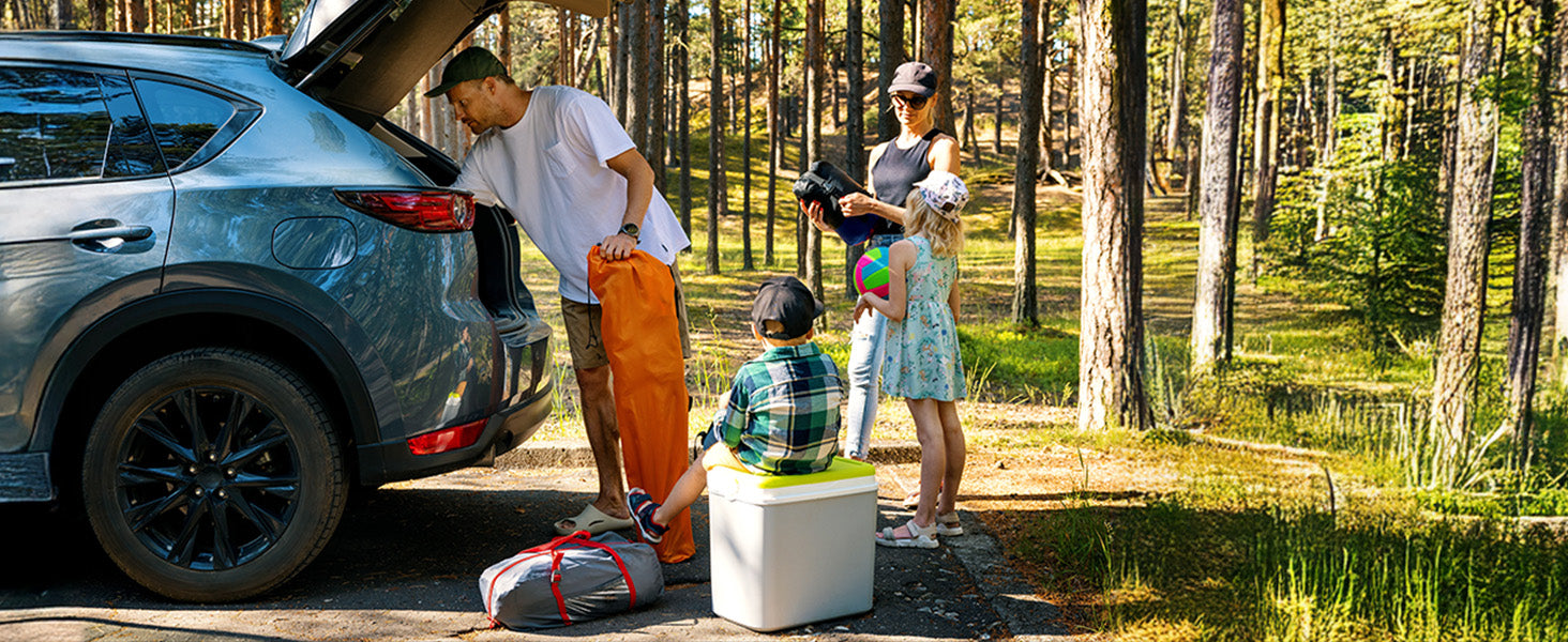 Hyundai driving floor mats