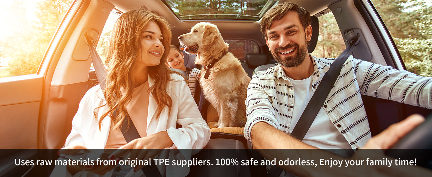 Nissan Rogue family protection