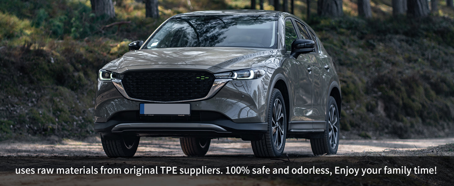 Lasfit Honda Civic Floor Mats