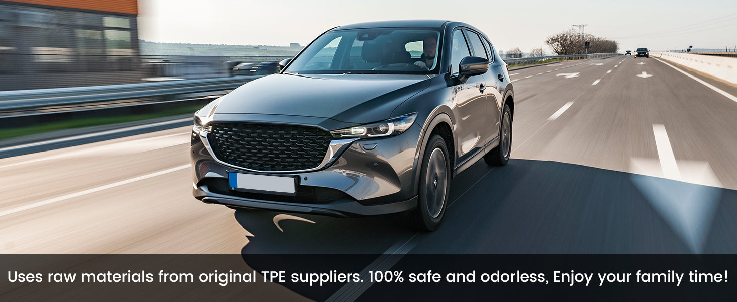 Lasfit Honda Civic Floor Mats for travel