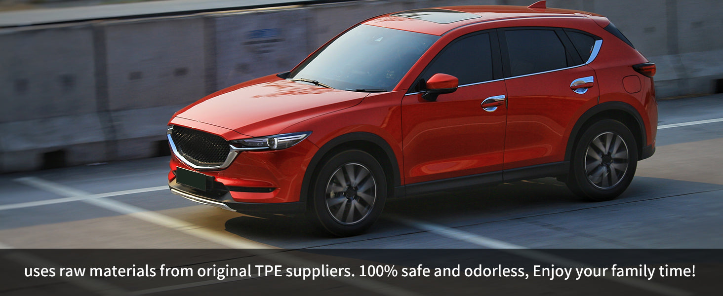 2023-2025 Nissan Ariya driving floor mats