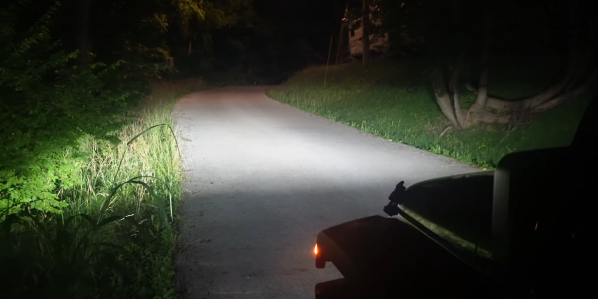 LSplus led bulbs in Spring