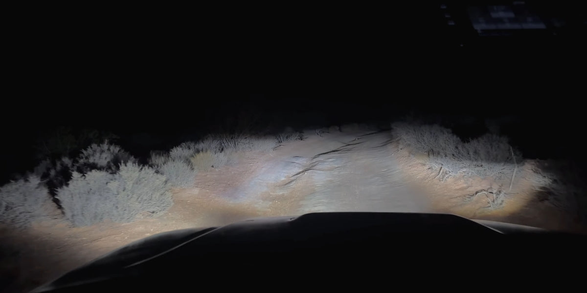 LSplus led bulbs in Autumn