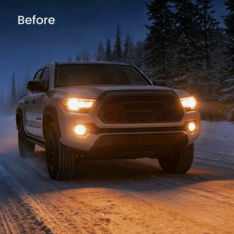 Bulbs Before After 2