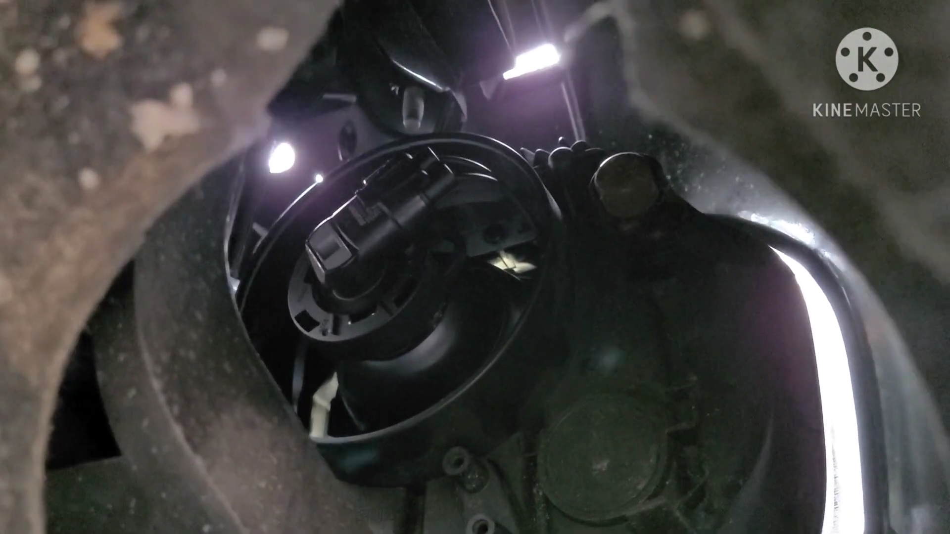 see the factory halogen bulb