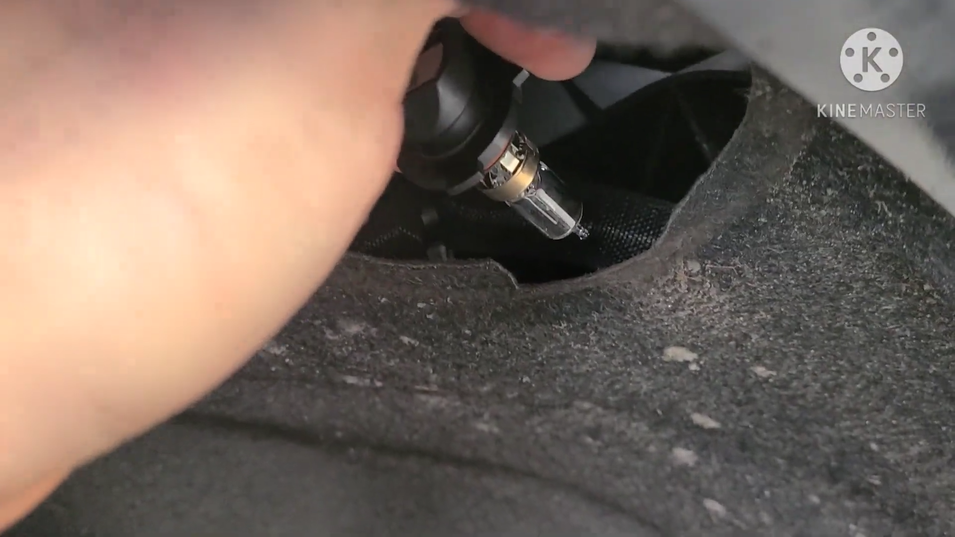 rotate the factory halogen bulb counterclockwise and unplug it