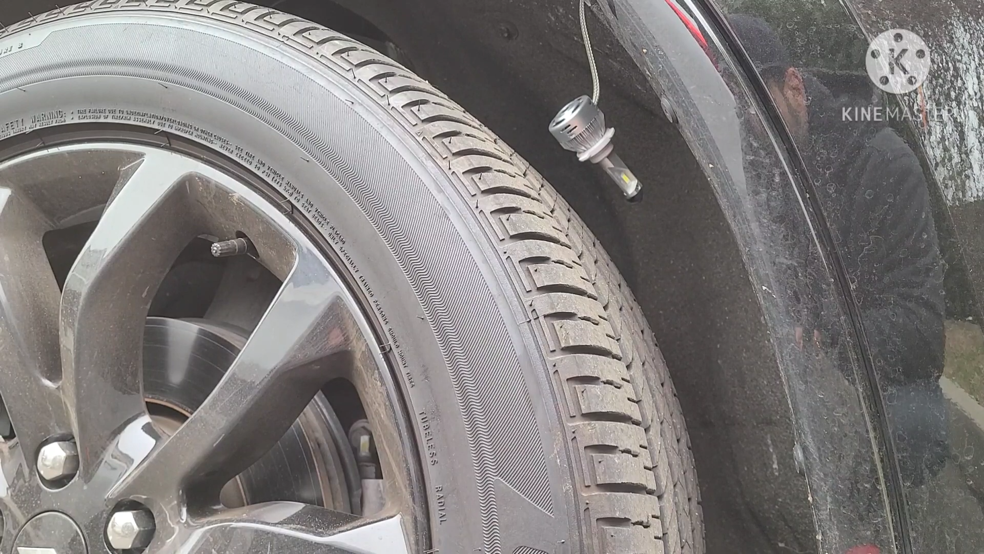 insert the new bulb into the housing