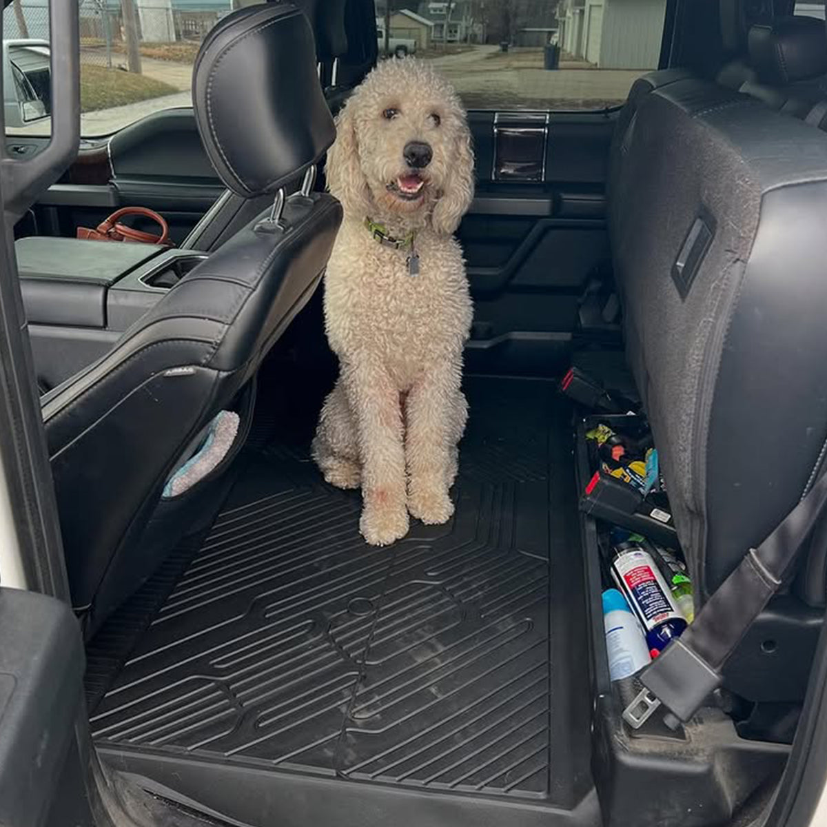 Pet Travel