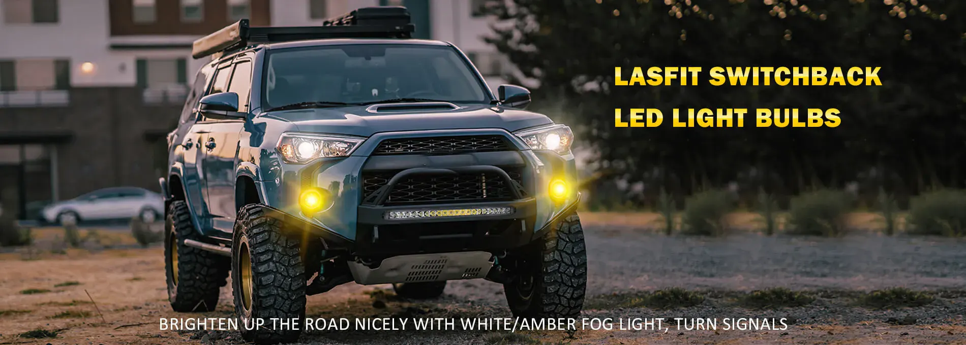 Lasfit Switchback LED Light Bulbs