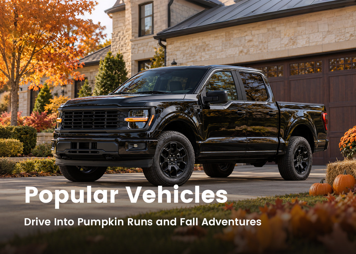 Popular vehicles for everyday drives and weekend escapes
