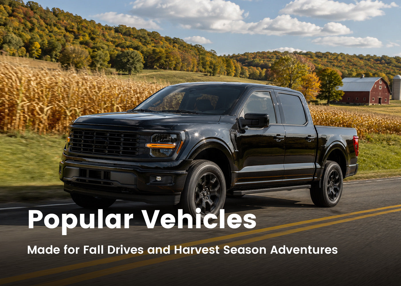 Popular vehicles for everyday drives and weekend escapes