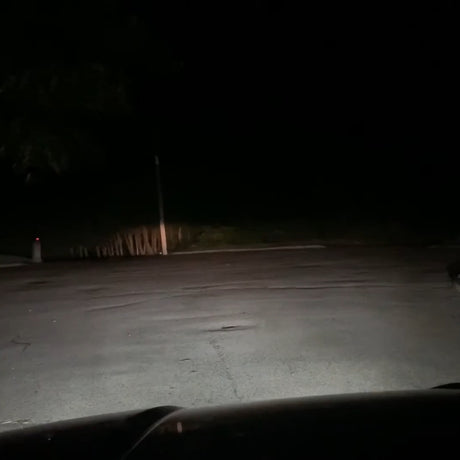 Lasfit LED fog lights ultra brightness