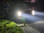 Fit for 2018-2023 Ford F-150 Custom H11 9005 LED Bulbs w/ Dust Cover | Pro-DC Series