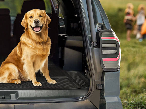 Family Trip with 2025-2026 Toyota 4Runner floor mats