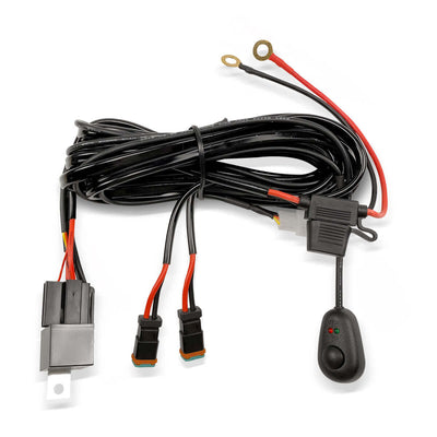 Wiring Harness with DT Connectors - 2 Leads