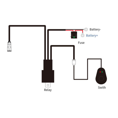 Wiring Harness with DT Connectors - 2 Leads